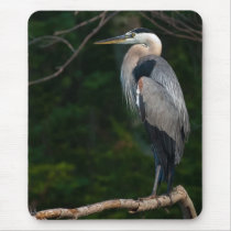Great Blue Heron Mouse Pads