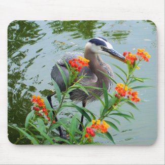 Great Blue Heron mousepad