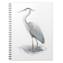 Great Blue Heron Notebook