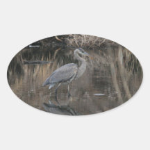 Great Blue Heron Oval Stickers