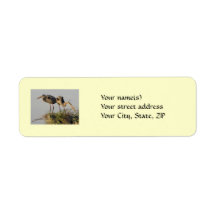 Great Blue Heron Pair on the Nest Custom Return Address Labels