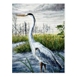 Great blue heron post card