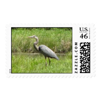 Great Blue Heron stamp