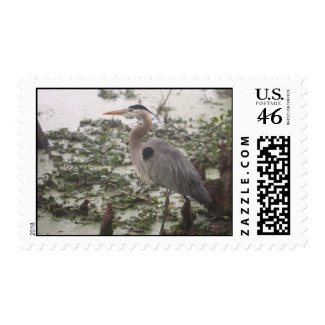 Great Blue Heron Postage (Horizontal) stamp