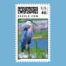 Great Blue Heron Postage Stamp stamps