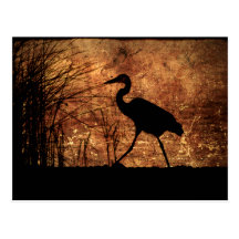Great Blue Heron Postcard