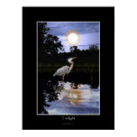 Great Blue Heron Poster Art Great Blue Heron Poster Art