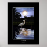 Great Blue Heron Poster Art posters