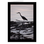Great Blue Heron Silhouette Card