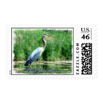 Great Blue Heron Stamp stamps