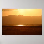 Great Blue Heron Sunset posters