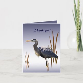 Great Blue Heron Thank You Cards