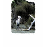 Great Blue Heron t-shirts