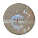 Great Blue Heron w/ Fish Fridge Magnets