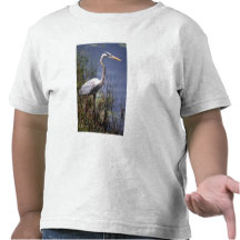 Great Blue Heron water bird found throughout Tshirt