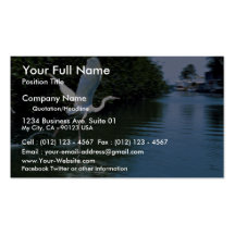 Great blue heron (white phase), Key Largo, Florida Business Card Template