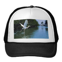 Great blue heron (white phase), Key Largo, Florida Trucker Hats