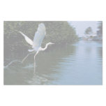 Great blue heron (white phase), Key Largo, Florida Custom Stationery