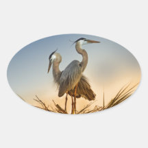 Great Blue Herons at Sunrise Oval Sticker