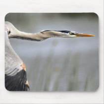 Great Blue In Flight mousepads