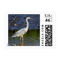 Great Blue postage