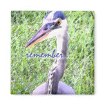Great Blue Reminder Great Blue Reminder