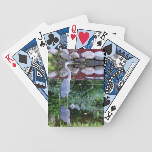 Zn poker