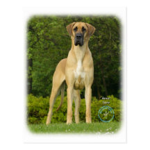 Great Dane 9T088D-011 Postcards