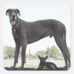 Great dane and small mixed-breed dog stickers