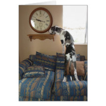 Great dane "artillero" mira el paso del tiempo felicitacion 