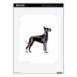 Great Dane - black standing - cropped ears Decal For iPad 3