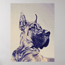 great dane- blue sketch print