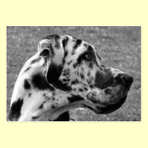 GREAT DANE business cards