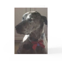 Great Dane cards