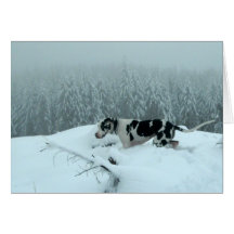 Great Dane "Cash" In The Snow Cards