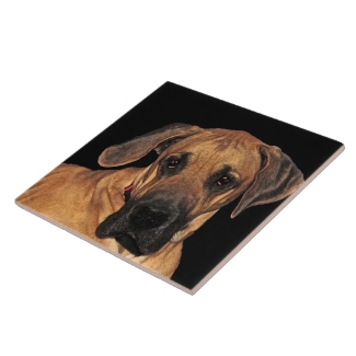 Great Dane Ceramic Tile