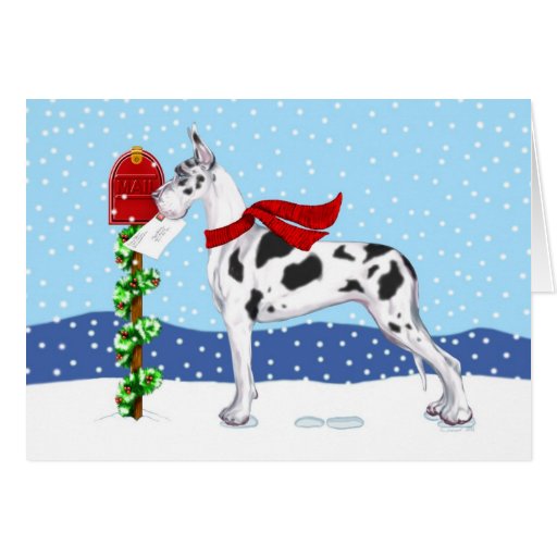 Great Dane Christmas Mail Harlequin Greeting Card | Zazzle