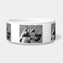 GREAT DANE pet bowls