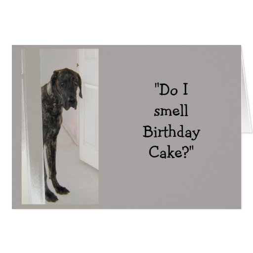 Great Dane Dog Humor Birthday Cake Fun Card