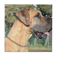 Great Dane Dog Tile