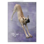 Great Dane 'Duke' Greeting Cards