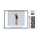 Great Dane favorite postage