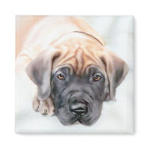 Great Dane Fawn Ransom Pup Refrigerator Magnets