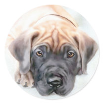 Great Dane Fawn Ransom Pup stickers