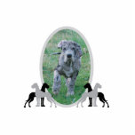 Great dane frame photo cut outs