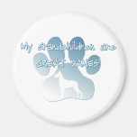 Great Dane Grandchildren Magnet