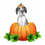 Great Dane Halloween Mantle UC Dane-O-Lantern Tshirts