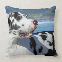Great Dane - Harlequin - Bogey - Beach Dogs Pillows