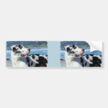 Great Dane - Harlequin - Bogey Bumper Sticker