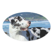 Great Dane - Harlequin - Bogey Sticker